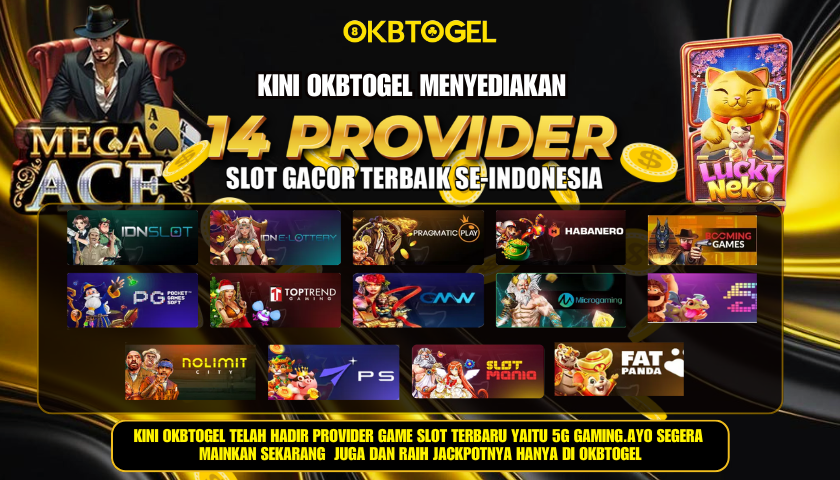 14 PROVIDER SLOT